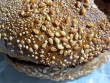 Sesame Bagel Stock Image Sesame Bagel Stock Image