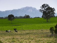 Rural Scene Stock Images