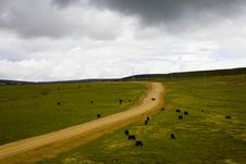 Tibet Landscape Royalty Free Stock Images Tibet Landscape Royalty Free Stock Images
