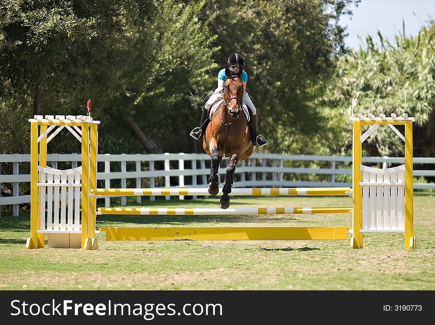 A youth rider guiding her horse over a fence in a show jumping competition. A youth rider guiding her horse over a fence in a show jumping competition.