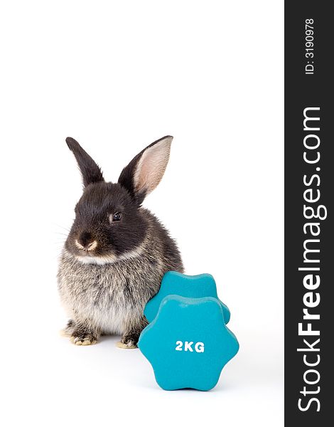 Black bunny and a weight, isolated