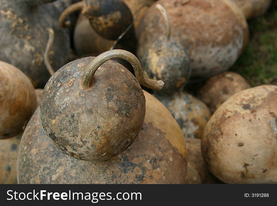 Close up of several brown gourds
