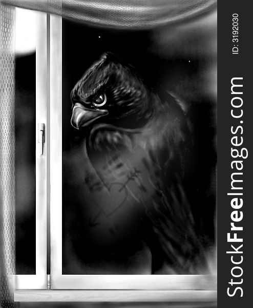 Night as if to a black bird looks in a window. Night as if to a black bird looks in a window