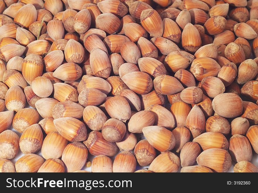 Food background full with hazelnuts