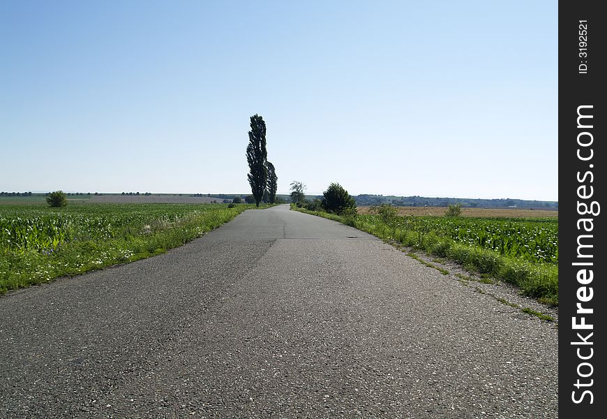 Blue sky, sunny day and empty rural route