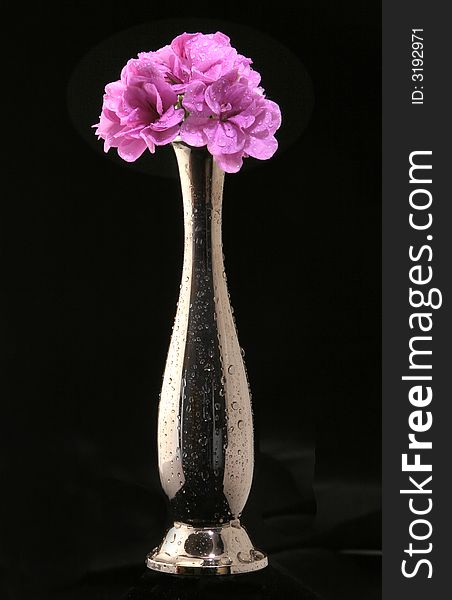 Silver pot with single pink flower. Silver pot with single pink flower