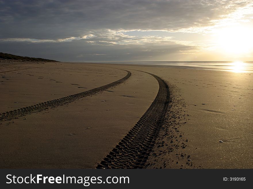 Tracks on a Beach