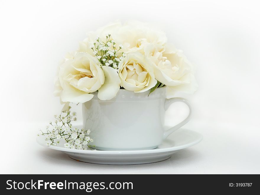 White roses in a tea cup. White roses in a tea cup