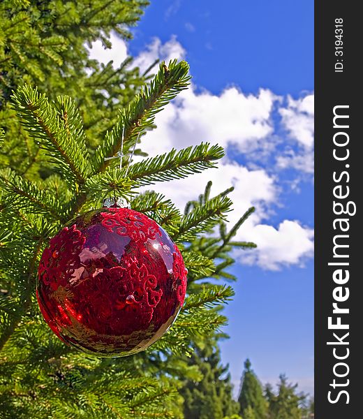 Christmas decoration ball on a fir tree outside in sunny day. Christmas decoration ball on a fir tree outside in sunny day