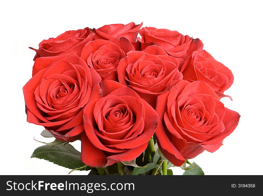 Close up of red roses isolated on a white background