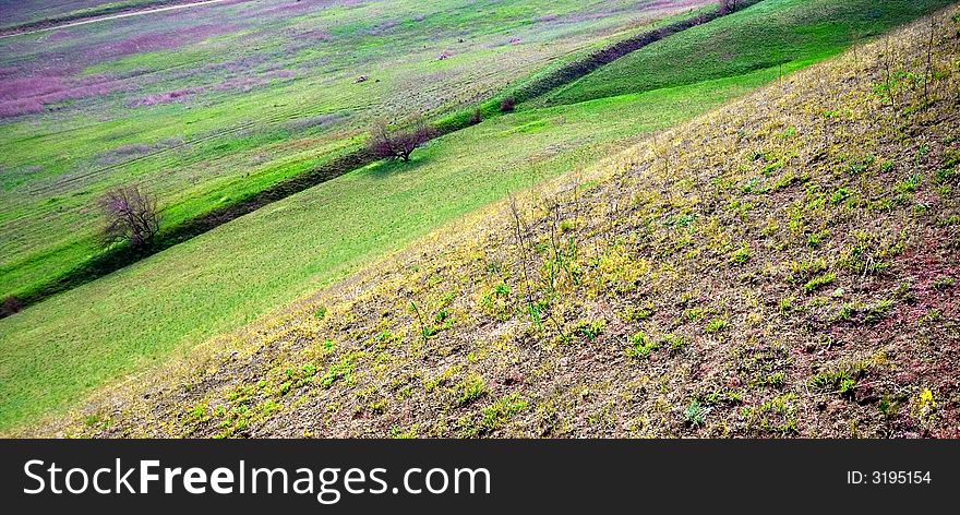 Multicolor landscape with spring diagonals, trees and yellow flower