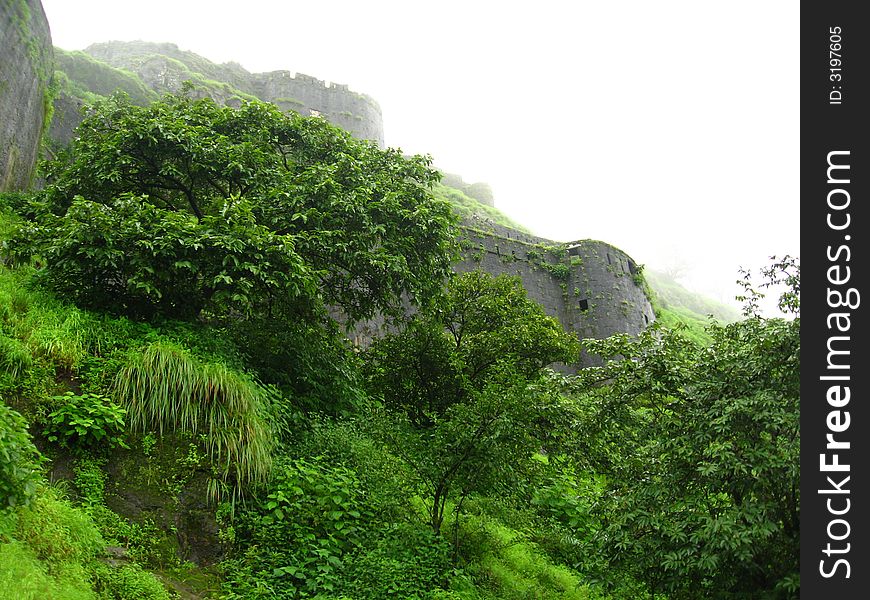 A greenery on ancient fort. A greenery on ancient fort.