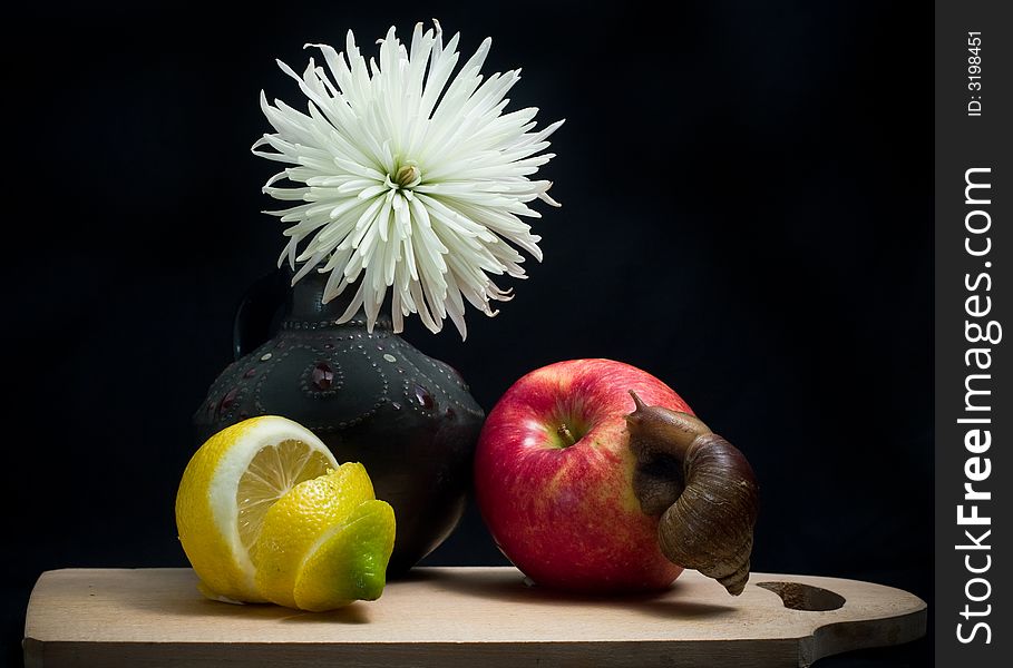 Still life with snail, vase and fruits. Still life with snail, vase and fruits