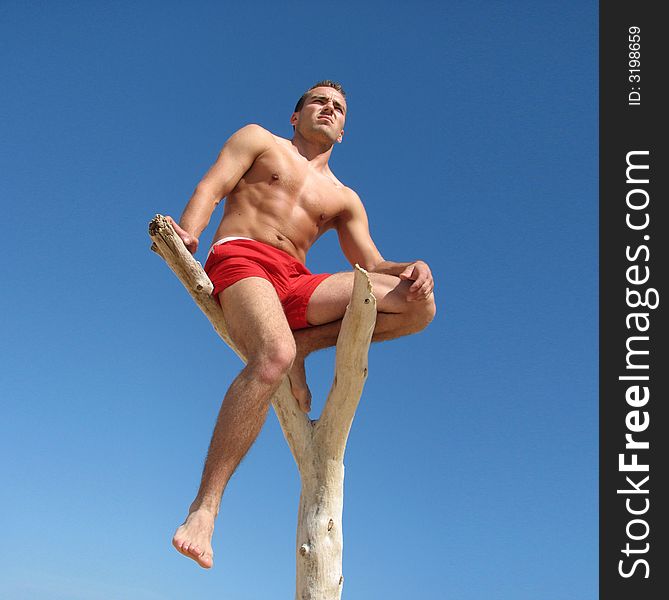 Athletic boy is sitting on a snag. Athletic boy is sitting on a snag