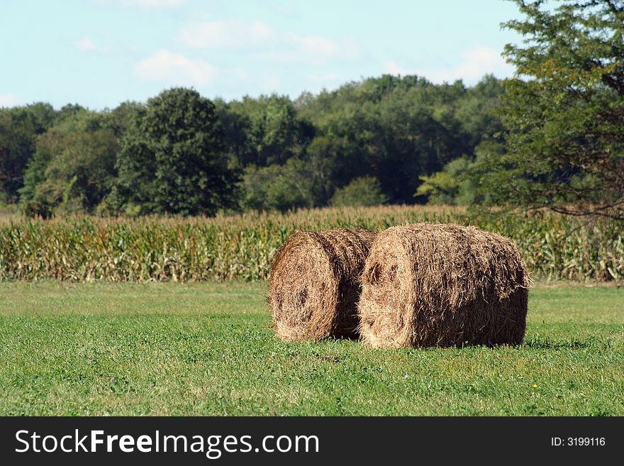 Two Hay rolls near a corn field