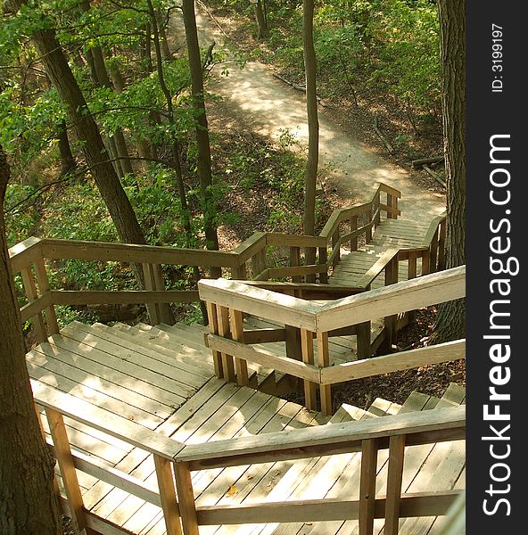 A stairway in the forest makes the hike a little easier. A stairway in the forest makes the hike a little easier.