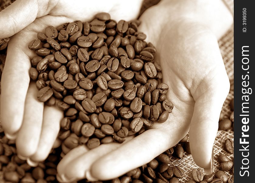 Grains of coffee on hands