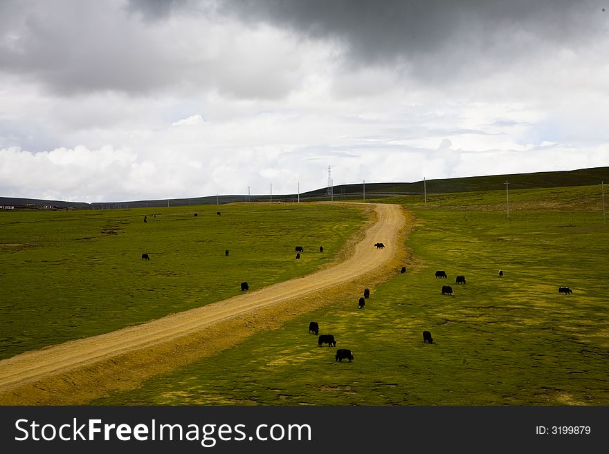 Tibet Landscape