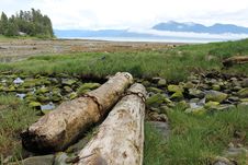 Alaska Island Beach Landscape Royalty Free Stock Photography