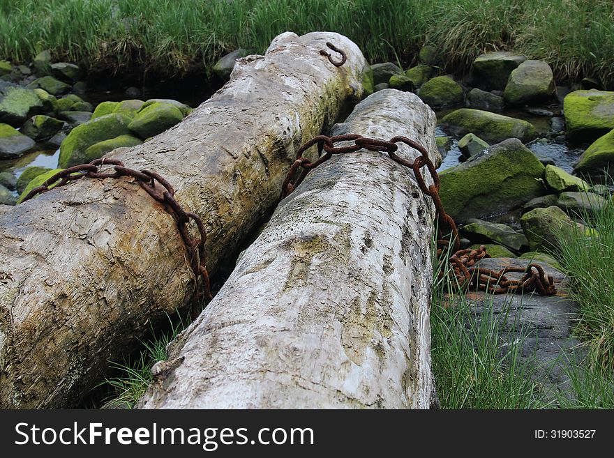 Two old logs with boom chains from an old log raft rest against mossy rocks of a small stream on the beach at Mitkof Island near the town of Petersburg, Alaska. A reminder of an almost extinct timber industry in the Tongass National Forest. Two old logs with boom chains from an old log raft rest against mossy rocks of a small stream on the beach at Mitkof Island near the town of Petersburg, Alaska. A reminder of an almost extinct timber industry in the Tongass National Forest.