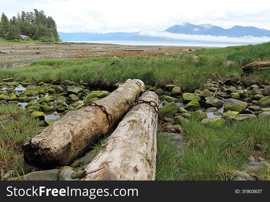 Landscape on Mitkof Island shore at Sandy Beach Park at low tide near the town of Petersburg, Alaska. Landscape on Mitkof Island shore at Sandy Beach Park at low tide near the town of Petersburg, Alaska.