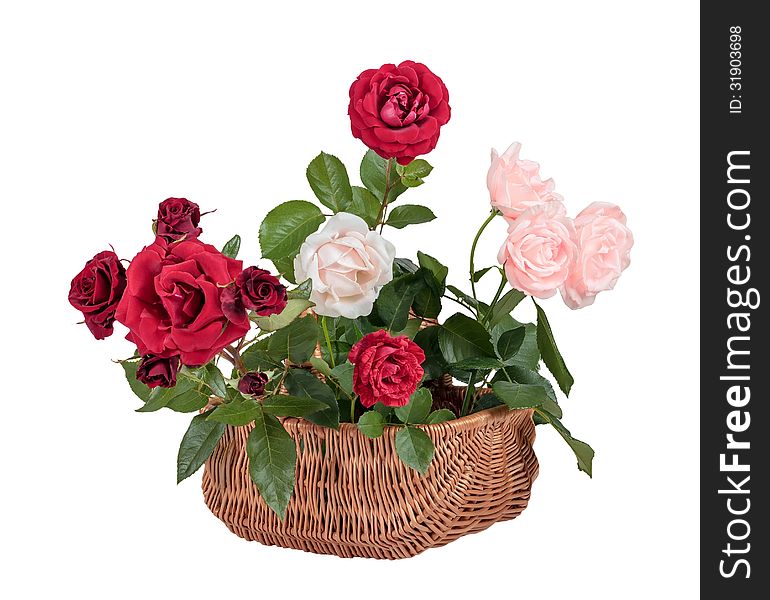 Wicker basket with a bouquet of roses isolated on white background