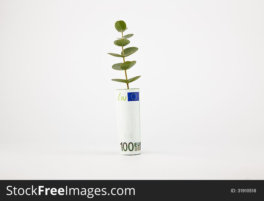Bank note and plant, currency and financial concepts