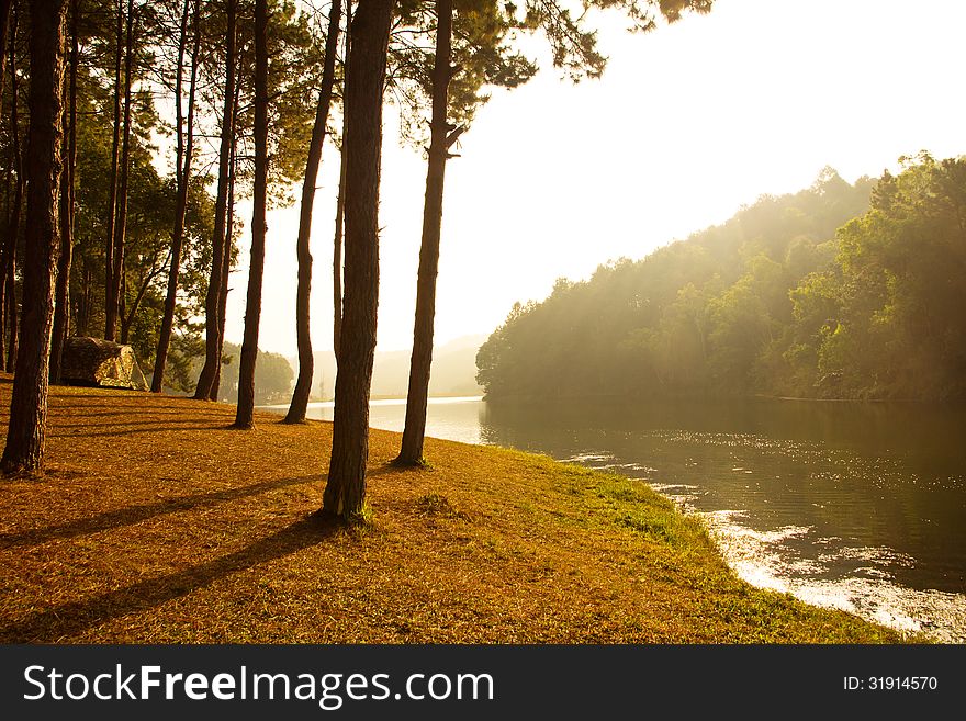 Sunrise at Pang-ung, pine forest park