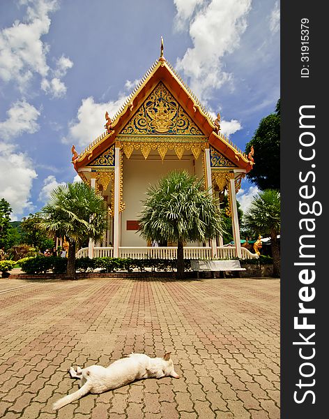 Dog sleeping in the grounds of Wat Chalong in Phuket Thailand. Dog sleeping in the grounds of Wat Chalong in Phuket Thailand