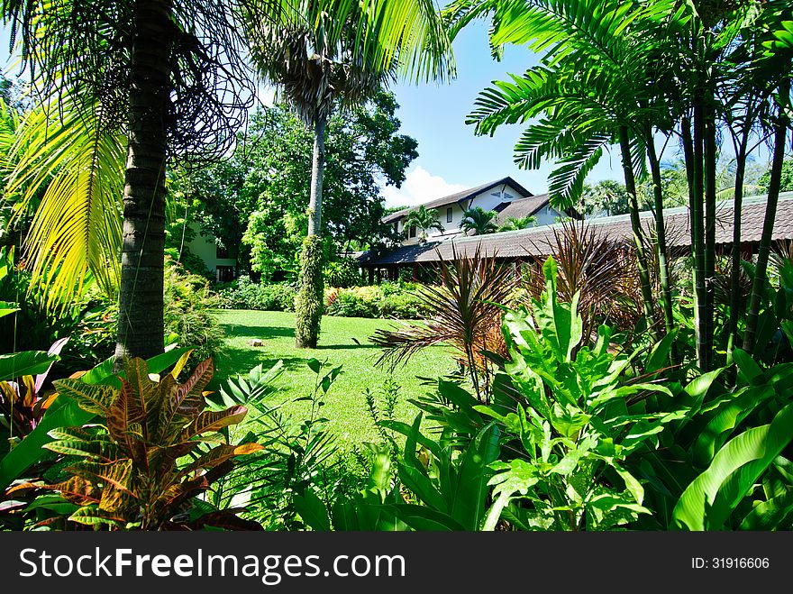 Landscaped tropical gardens in Phuket Thailand. Landscaped tropical gardens in Phuket Thailand