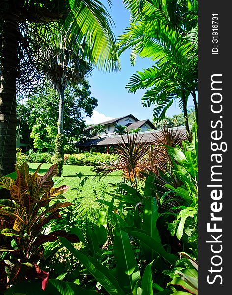 Tropical Thai Gardens