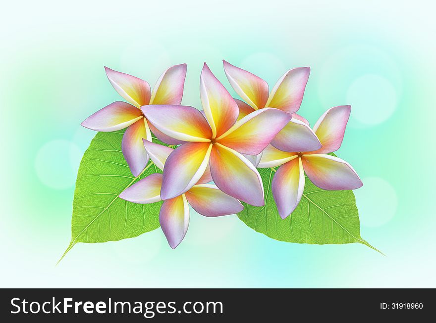 Fragrant flowers on bokeh Abstract background