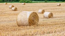 Round Bales Of Hay In The Field Stock Photos Round Bales Of Hay In The Field Stock Photos
