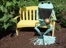 Frog Bronze Statue On Yellow Bench. Royalty Free Stock Image