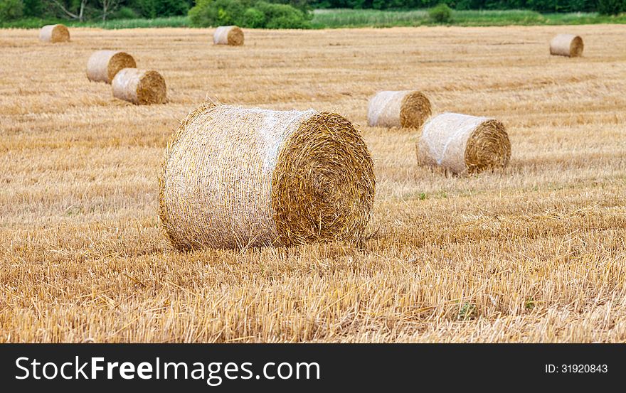 Round eight bales of hay in the field. Round eight bales of hay in the field