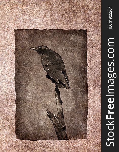 Crow perched on dead tree branch rendered in atmospheric sepia tones with surrounding grunge border.