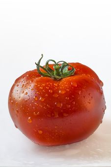 Fresh Ripe Tomato Isolated With Precise Clipping Path Royalty Free Stock Photos Fresh Ripe Tomato Isolated With Precise Clipping Path Royalty Free Stock Photos