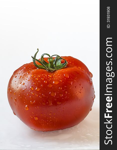 Fresh juicy Tomato isolated on white background, supplied with precise clipping path. Fresh juicy Tomato isolated on white background, supplied with precise clipping path.