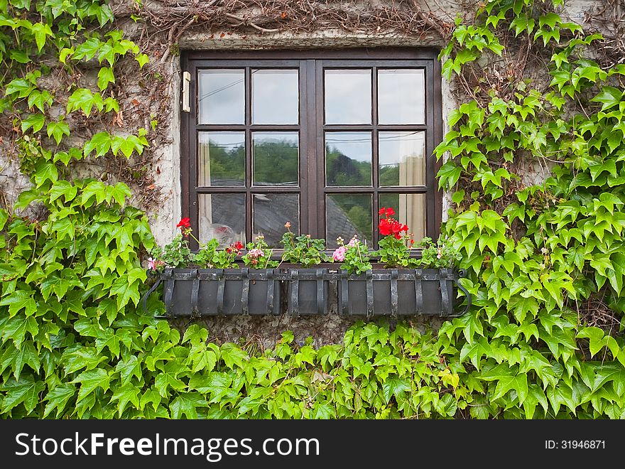 Vintage Window With Flowers