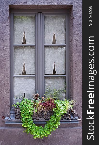 Vintage window with green plants. Belgium. Vintage window with green plants. Belgium