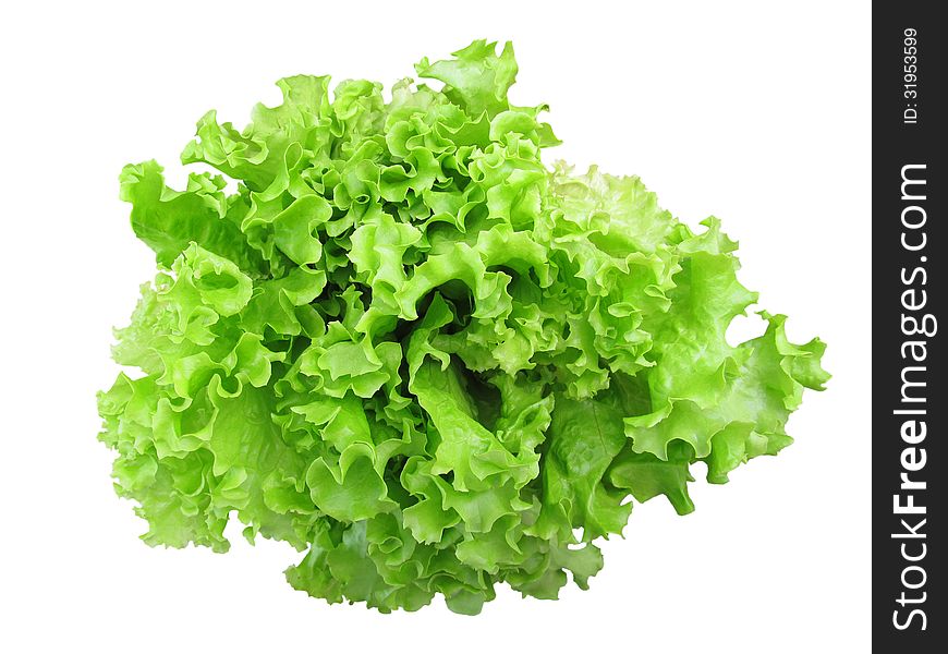 A beam of green lettuce isolated on white background. A beam of green lettuce isolated on white background