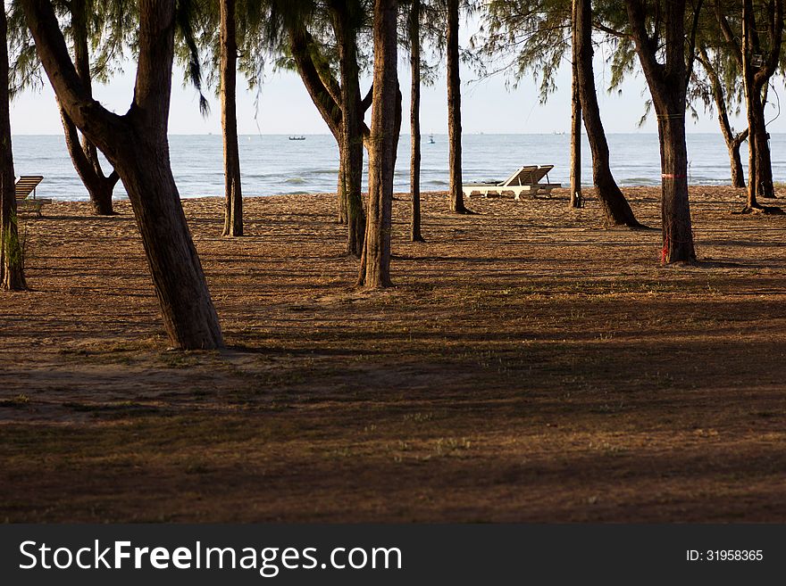 White Beach chair sea brown Pine