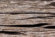 Old Tree Bark Stock Photography