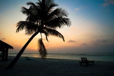 Tropical Sunset With Palm Trees Silhouette. Royalty Free Stock Image