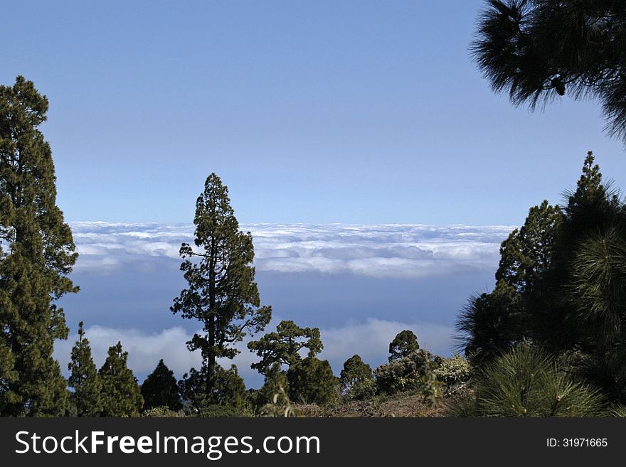 View on a carpet of clouds on La Palma