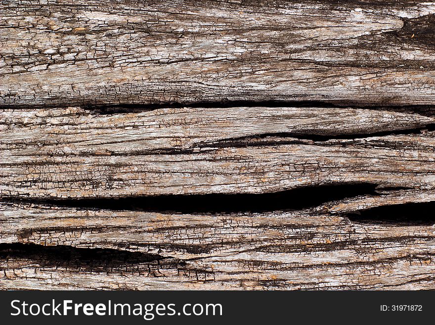 Old tree bark as texture