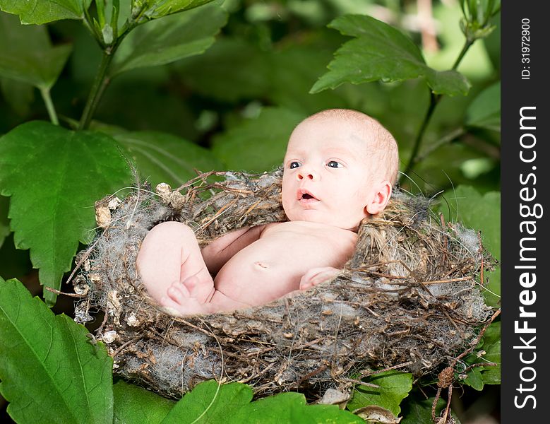 Cute baby in a knit basket wearing a green and white knit hat on a fur blanket