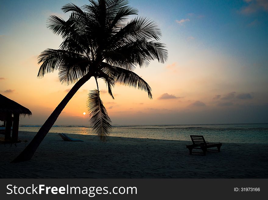 Tropical sunset with palm trees silhouette.