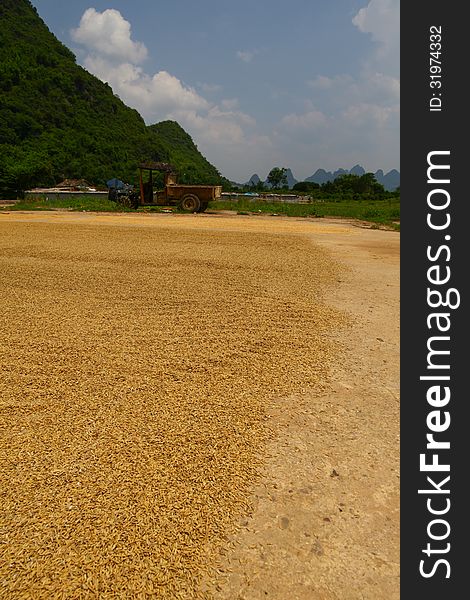 Drying Grain Naturally Yangshuo China