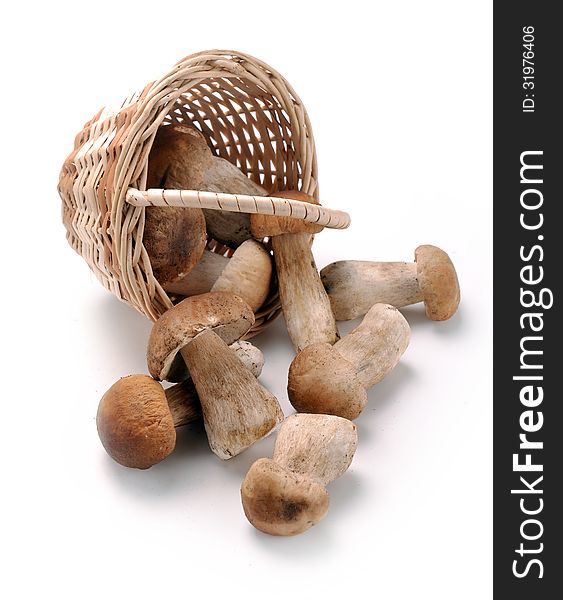 Mushrooms in a basket on a white background